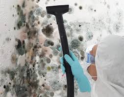 Best Attic Mold Removal  in Lisle, IL